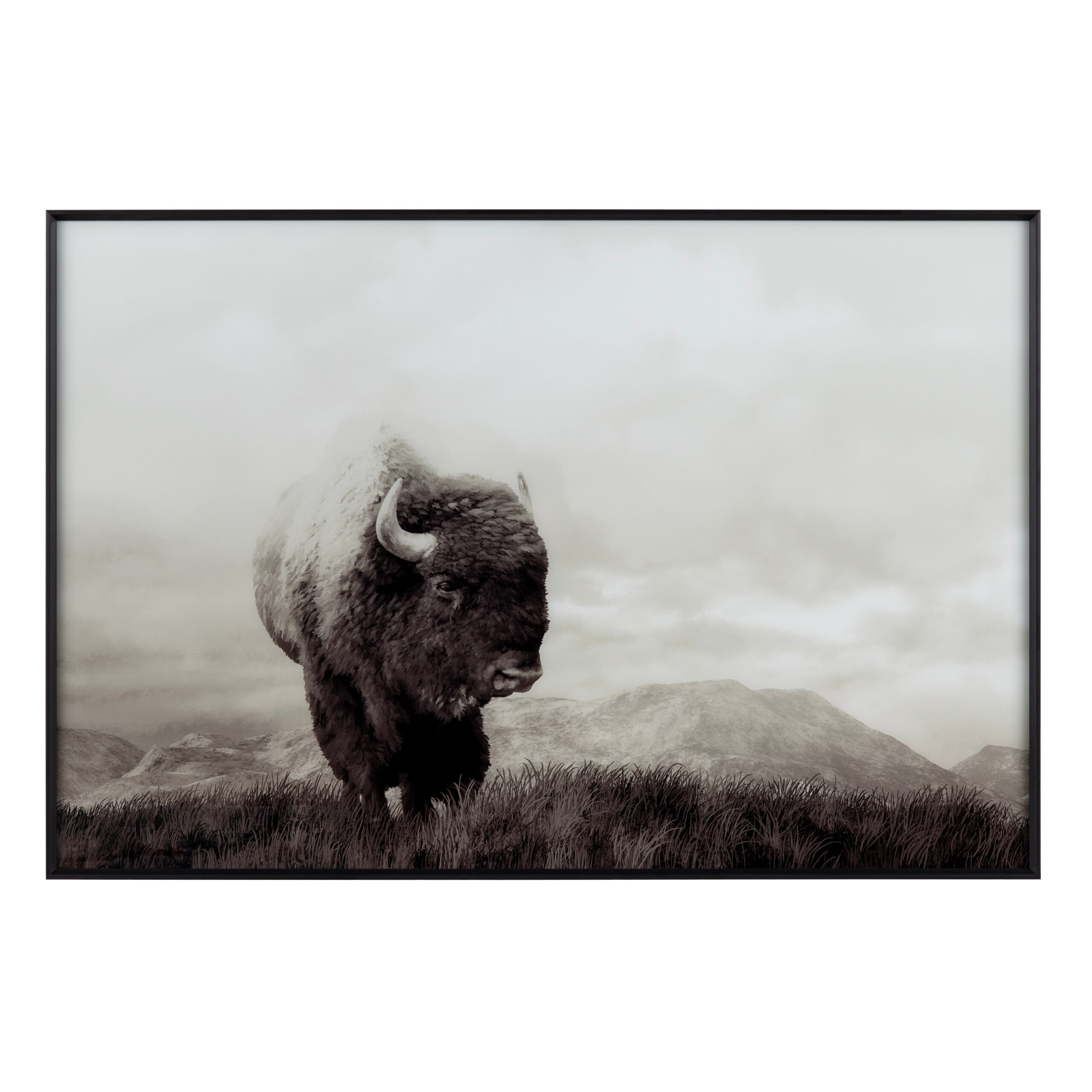 Bison Life